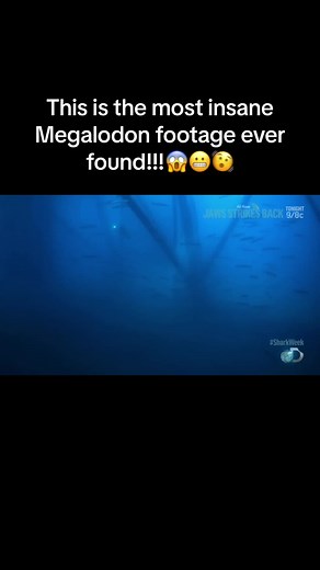 Megalodon Footage: Is It Real? | Insane Shark Video