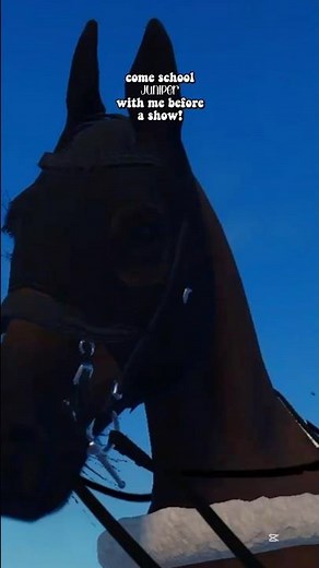 can you count the strides in between? 🐴 | #horse #equestrianjourney #roblox #strideway #fypage