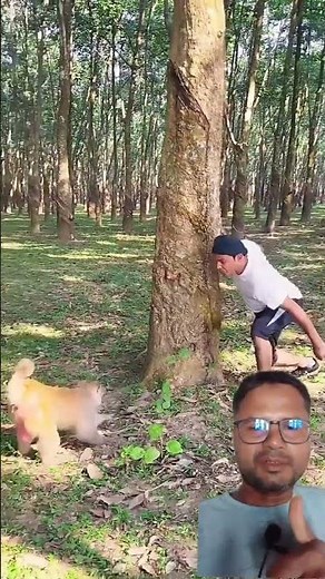 Monkey vs men… full comedy show unlocked!” 🤣🐒