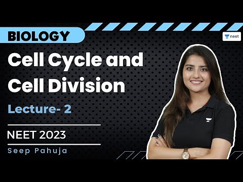 Cell Cycle and Cell Division | Lecture- 2 | NEET 2023 | Seep Pahuja | Unacademy NEET