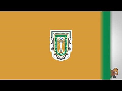 Videotutorial de uso básico de Blackboard para alumnos