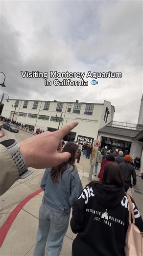 Explore the Wonders of Monterey Aquarium