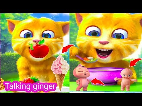 🙀My Talking Ginger 2 🥭preview 2 funny klasky csupo🍇🍆🍟🥒🥜🍋🍐🫔🍌🫐🌽🌮🍏🥭🍎🐒🌶️🍉🍒🍌🐒🌶️🐒🍉🐒🍒🐒🍎🐒🥭🐒🍏🐒🍌🫐🌽🌮🍏🥭🍎🍇🐒🍆🐒🍟🐒