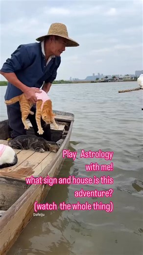 1.1K views | Play astrology with me! The energy changes throughout this video, but I do think there is a particular sign that represents. I also can see a house played out in this adventure. I love for you to use your imagination and your astrology minds… And play with me. tell me what sign and house you think this entire adventure is  | Soul Navigation | Facebook
