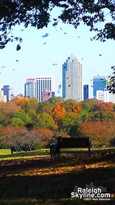 13K views · 1.2K reactions | North Carolina Fall  | RaleighSkyline.com | Facebook