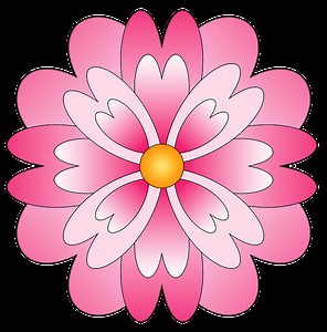 Flores Desenho Rosa Png
