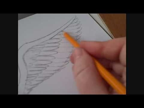 How To Draw An Angels Wing Video