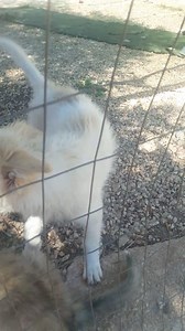 3.9K views · 83 reactions | #DA #UNA #CASA #AL #BOX !!! Non è...