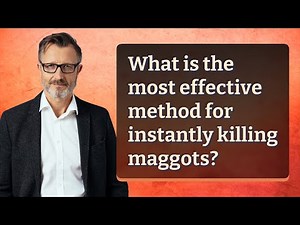 What is the most effective method for instantly killing maggots?