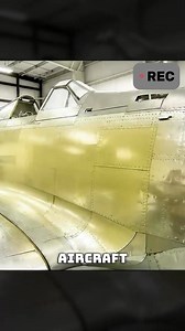 Lost for 75 Years Hanging in a Forest Tree — Curtiss P-40 Warhawk Found Abandoned and Fully Restored. | Emily's restoration