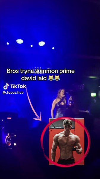 Summoning Prime David Laid: A Fun Gym Perspective