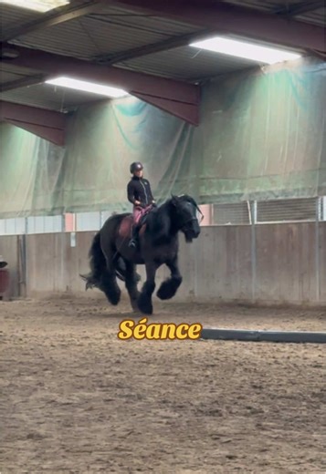 Retour sur notre dernier cours (c’était avant de sauter 2 mètres) 🫶🏻 #chevaldetrait