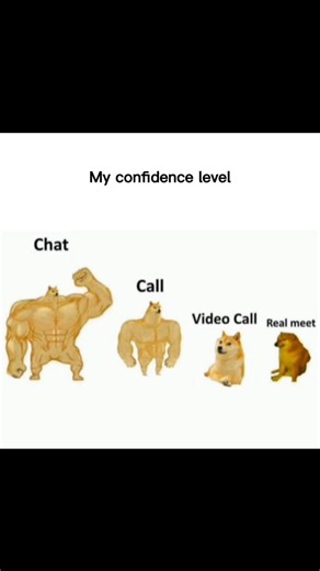 Yaima on Instagram: "My confidence level. #reality #relatable #reelsinstagram #trending #viral #sayari #explorepage"