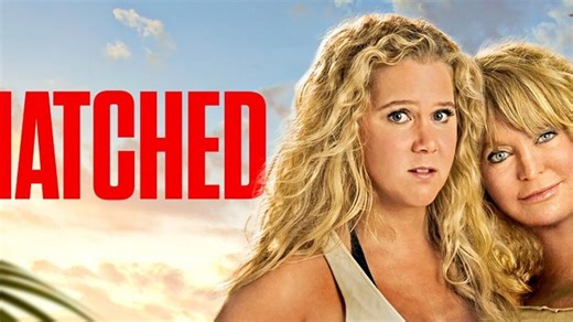 Snatched 2017 Welcome to the movies and television
