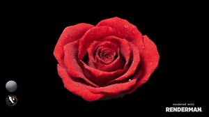 Houdini procedural modeling - Rose