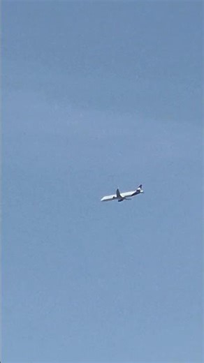 (홍콩 익스프레스 UO630) 홍콩(HKG) → 서울/인천(ICN) - 에어버스 A321-231 (B-LEK)
