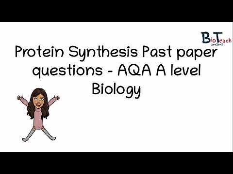 Protein Synthesis past paper questions - AQA A level Biology