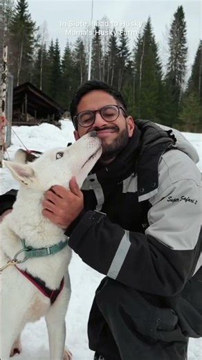 MUST-TRY WINTER ACTIVITIES IN FINLAND ❄️🇫🇮