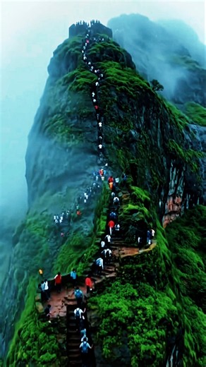 Why Harihar Fort has the world's scariest rock stairs