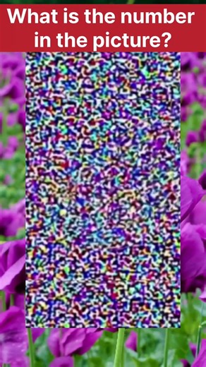 What is the number in the picture? #Challenge #Puzzle #IQTest #Focus #MindGames #VisualPuzzle