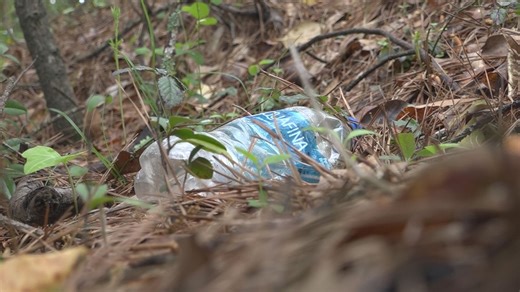 How can we stop litter in South Carolina? Here's what several groups say is necessary