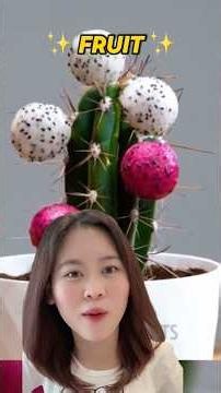 Make the cactus has fruit 😁 from ‪@5MinuteCraftsYouTube‬