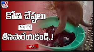 Monkey Viral video: కోతి చేష్టలు అని తీసిపారేయకండి..! కోతి బావ చేసిన పనికి ప్రశంసలు కురిపిస్తున్న నెటిజన్లు..