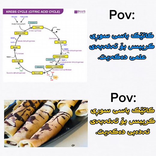 ‏💔😅 #tiktok #foryou #capcut #my #mind #pov #school #biology