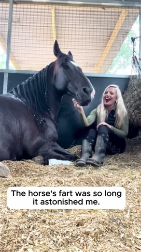 Error 404: Horse logic not found.#shorts #funnyhorse #horsememes #2026 #animalchaos