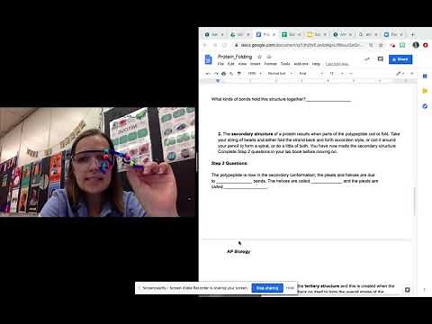 Protein Folding Activity Video