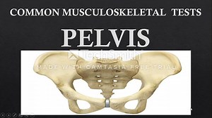 PELVIS TESTS