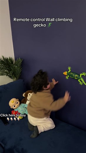 Remote Control Wall Climbing Gecko - Buy Now!