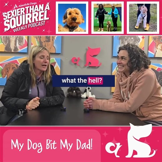 2.3K views · 11 reactions |  My Dog Bit My Dad!  (Yes… it really...