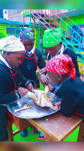 Mastering the Art of Cooking Hen Through CBE