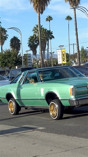 74K views · 2.8K reactions | Custom Painted Ford Thunderbird LOWRIDER hitting switches, bouncing & cruising Van Nuys Blvd in Los Angeles, California!  | Skid Society | Facebook