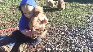 Kids are never too young to start loving animals. | The Dodo
