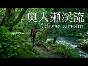4K 奥入瀬渓流 石下戸から十和田湖9kmの新緑トレイル｜Hiking Oirase stream in Aomori