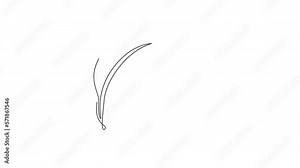 Self drawing animation of single line draw green leaf. Organic leaf tree icon silhouette for environment concept. Infographics, natural element isolated on white background. Full length animated.