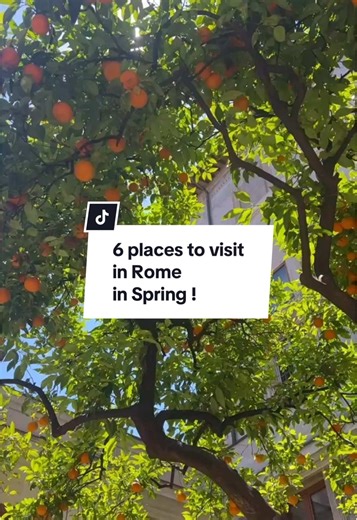 6 places to visit in Rome while the city is in bloom 😍 . . . From ancient ruins to vibrant gardens, Rome comes alive in the spring—and there’s no better time to explore these open-air gems: . . . 💎 Baths of Caracalla: Wander through one of Rome’s most impressive ancient bath complexes, surrounded by wildflowers and quiet ruins. . 🌸 Spanish Steps: Don’t miss the stunning azalea display in late April, when the steps are covered in a sea of pink and white blooms. . 🌿 Circus Maximus: Stroll the 