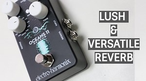 1.4K views · 11 shares | The brand new Oceans 11 Reverb pedal from...