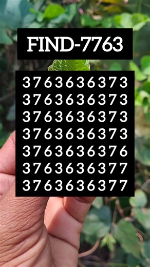 Find the Odd One | Visual Logic Challenge | Ep.580 #brainteaser