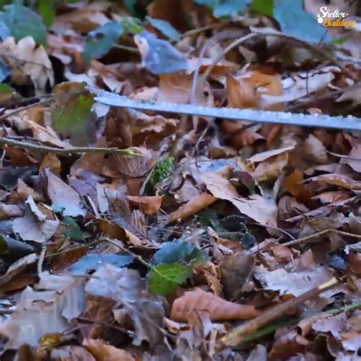 87K views · 2.4K reactions | Building a Secret Winter Shelter in the Wild | Mountain Cabins | Facebook