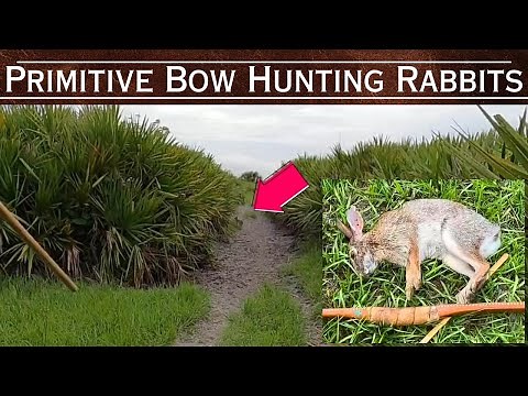 Primitive Bow Hunting Rabbits with Blunts