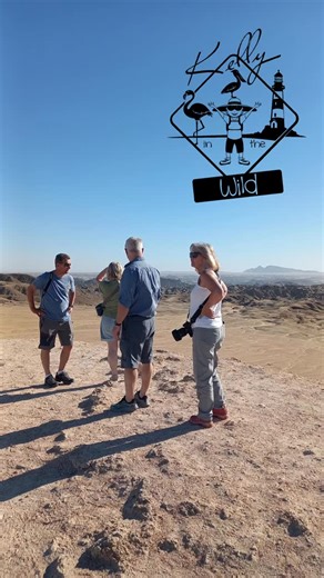 Want to explore Namibia’s surreal Moon Landscape? I’ll book the tour — you bring the sense of adventure. www.kellyinthewild.net #kellyinthewild #walvisbaytours #moonlandscape #namibia #tours #kellybeukes #adventure #bucketlist | Kelly in the Wild | Facebook