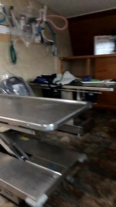 Paws N' Hooves Veterinary Services on Reels