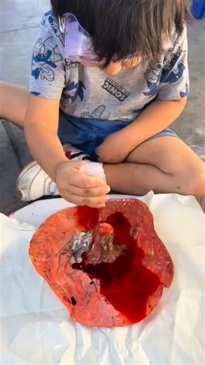 A closer look at our volcano project | WonderLearn Family