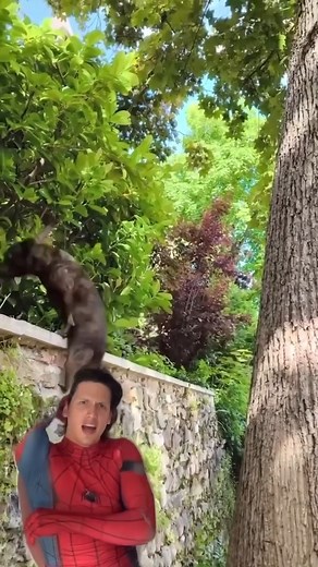 2.6M views · 81K reactions | Los mejores momentos de Spiderman #marvel #spiderman #hombrearaña #cosplay | El Homie Araña | Facebook