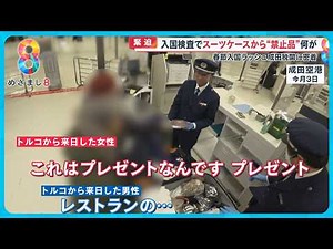 【春節】成田空港の税関密着 スーツケースから“禁止品”続々…職員と客の｢押し問答”｣金の密輸も急増【めざまし８ニュース】