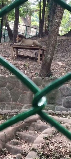 Thiruvananthapuram zoo##🏞️👍