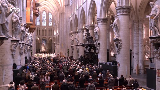 🔴 Suivez en direct ce dimanche à 11h la messe des 800 ans de la cathédrale Saints-Michel-et-Gudule à #Bruxelles, présidée par le cardinal Pietro Parolin, légat pontifical. | KTO Télévision Catholique